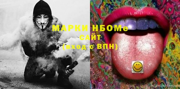 винт Инта